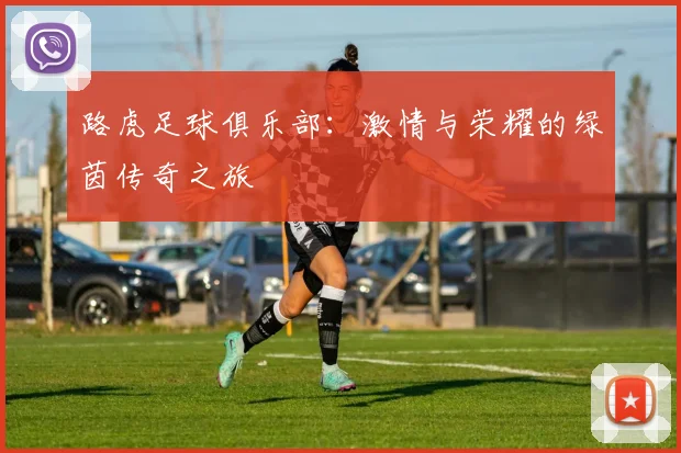 路虎足球俱乐部：激情与荣耀的绿茵传奇之旅