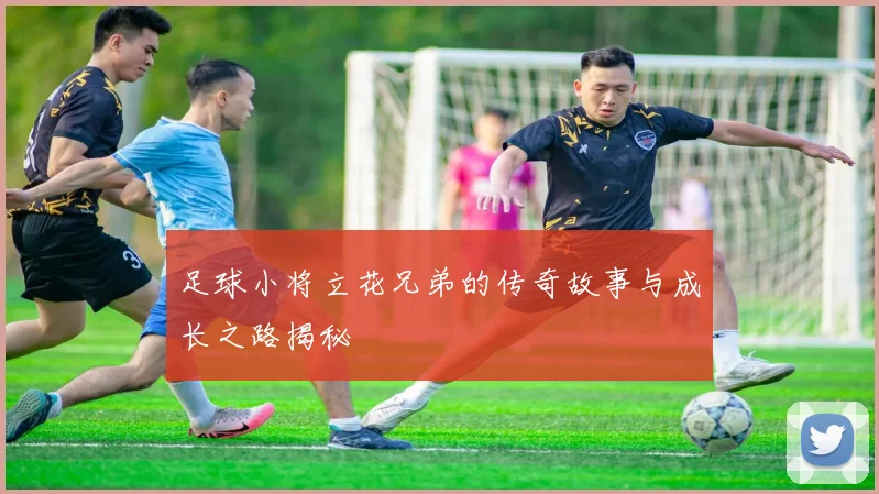 足球小将立花兄弟的传奇故事与成长之路揭秘